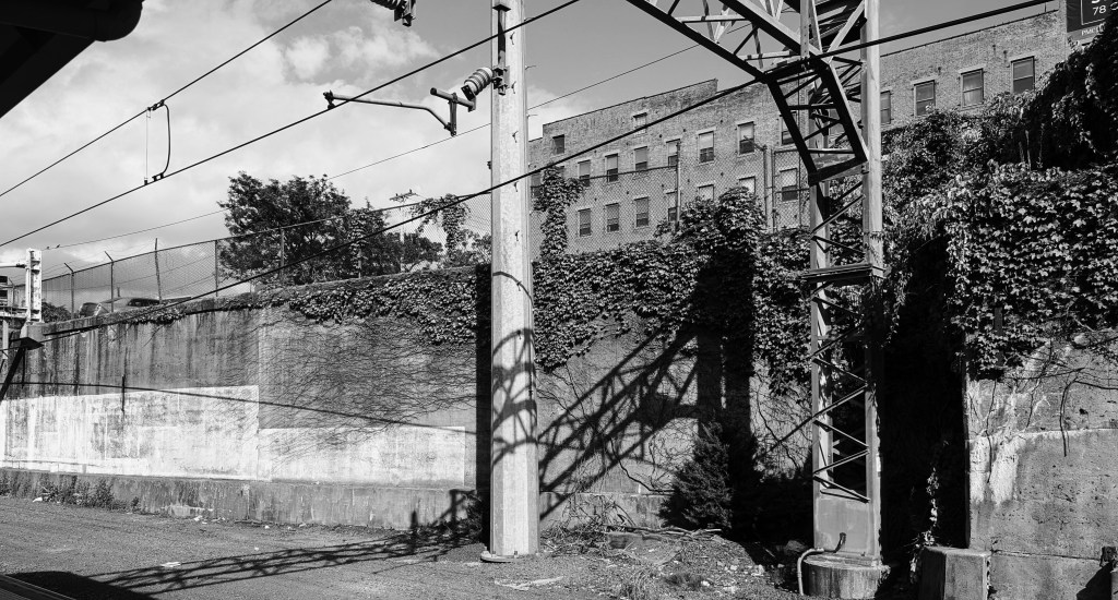 By Way of An&nbsp;Introduction