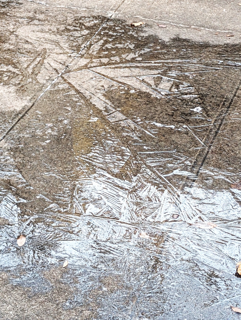 Must We Have Social&nbsp;Hierarchies?