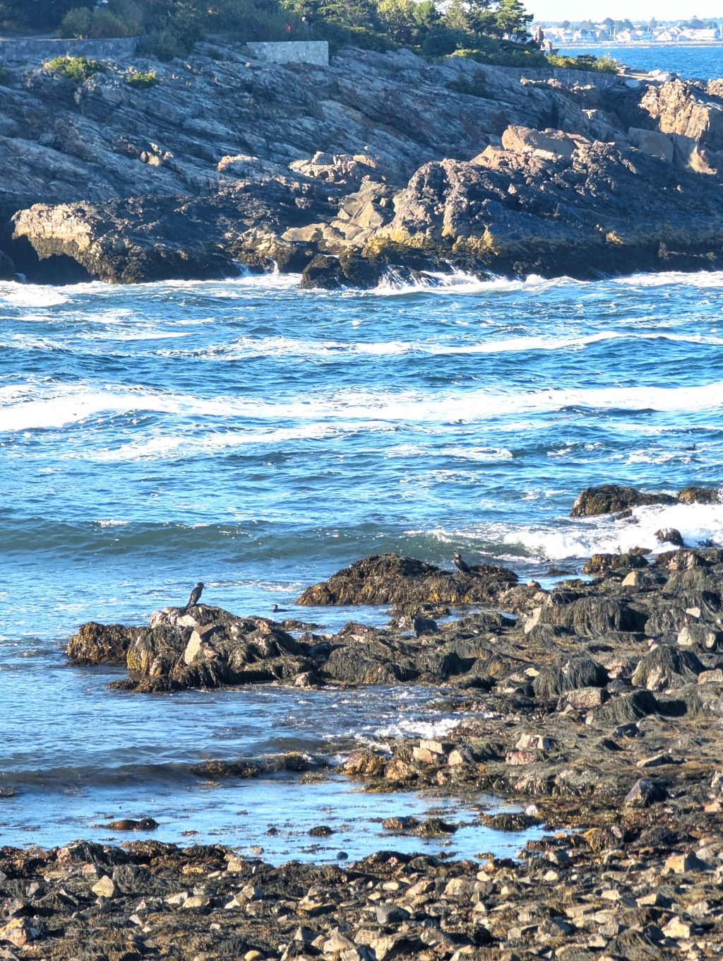 Facts of Fiction: Those Dastardly Pirates